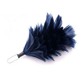 Feather Hackle
