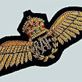 Pilot Bullion Wings/Badges